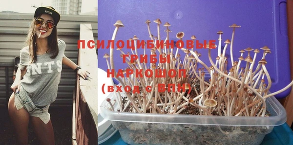 соль ск Краснослободск