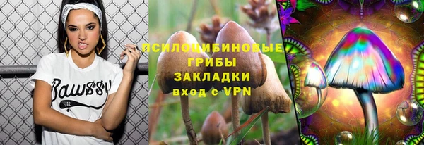 ПСИЛОЦИБИНОВЫЕ ГРИБЫ Кукмор
