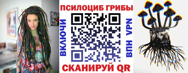 Галлюциногенные грибы Magic Shrooms  где купить наркоту  ОМГ ОМГ как зайти  Суоярви 